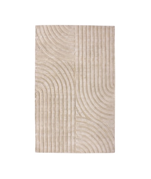 Tapis viscose rectangulaire Dana 200x300cm sélection de produits