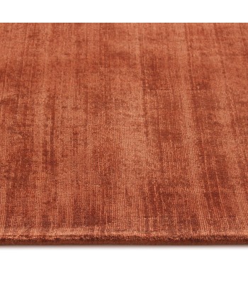 Tapis viscose rectangulaire Nate 300x400cm la livraison gratuite