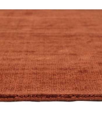 Tapis viscose rectangulaire Nate 300x400cm la livraison gratuite