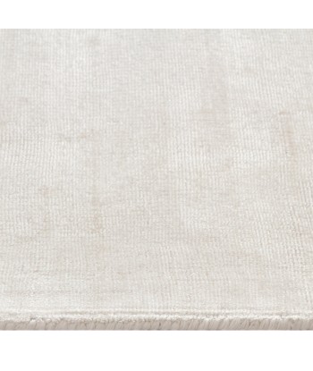 Tapis viscose rectangulaire Nate 300x400cm la livraison gratuite