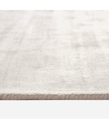 Tapis viscose rectangulaire Nate 300x400cm la livraison gratuite