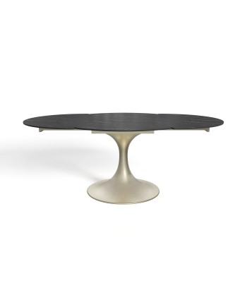 Table extensible Jacinthe Céramique et verre trempé pieds dorés 120x76cm hantent personnes