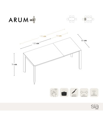 Table extensible Arum pieds dorés 120x80x76cm acheter en ligne