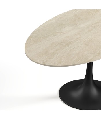 Table fixe NYMPHEA pied noir 180x90x75cm En savoir plus