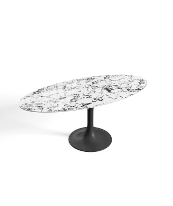 Table fixe NYMPHEA pied noir 180x90x75cm En savoir plus