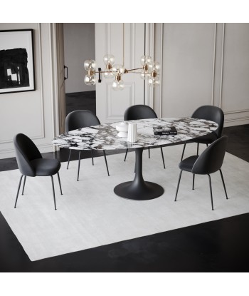 Table fixe NYMPHEA pied noir 180x90x75cm En savoir plus