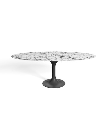 Table fixe NYMPHEA pied noir 180x90x75cm En savoir plus