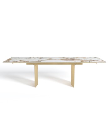 Table extensible XL Rose Céramique et verre trempé pieds dorés 200x90x76cm de l' environnement