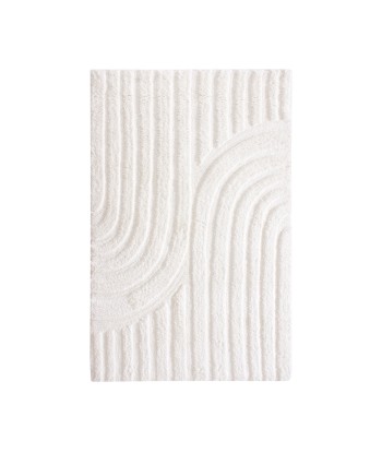 Tapis rectangulaire RODY toucher doux 160x230cm en ligne des produits 