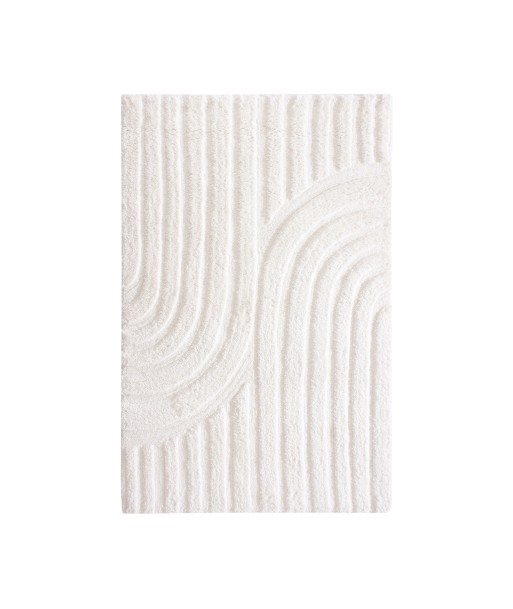 Tapis rectangulaire RODY toucher doux 160x230cm en ligne des produits 