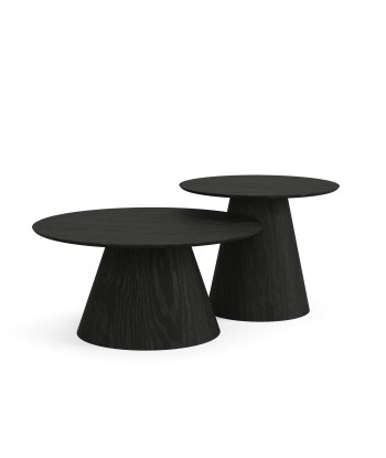 Lot de 2 tables basses gigognes JARI Amélioration de cerveau avec