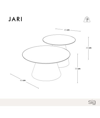 Lot de 2 tables basses gigognes JARI Amélioration de cerveau avec