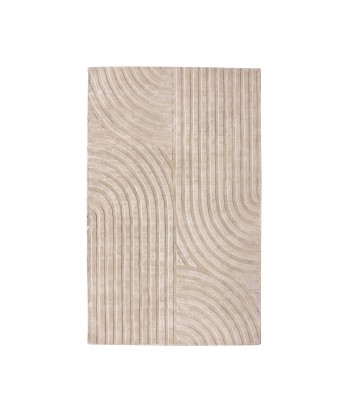 Tapis viscose rectangulaire Dana 300x400cm soldes