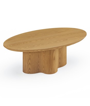 Table basse Odin 110cm une grave pollution 