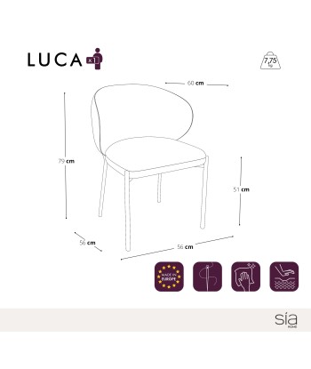 Lot de 2 Chaises Luca Velours Pieds dorés mats Venez acheter