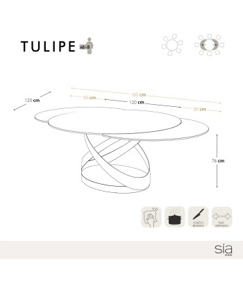 Table extensible TULIPE pied noir 120x76cm destockage