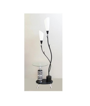 Lampe T13 de l' environnement