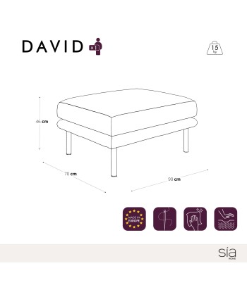 Pouf DAVID Velours meilleur choix