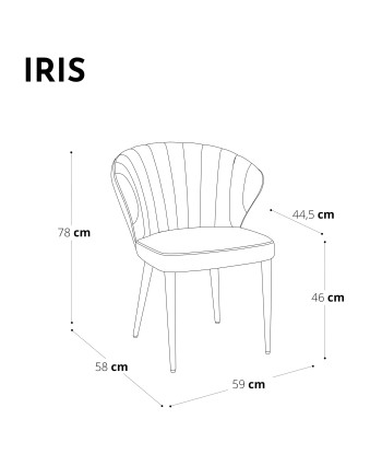 Set de 2 chaises IRIS Velours pieds assortis ouvre sa boutique