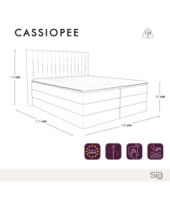 Ensemble de lit CASSIOPE Velours 160X200cm (tête de lit, sommier à coffres, matelas et surmatelas) suggérées chez