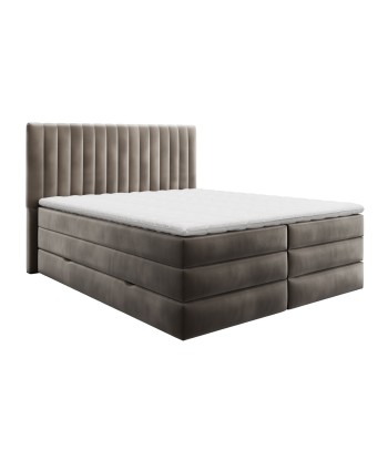 Ensemble de lit CASSIOPE Velours 160X200cm (tête de lit, sommier à coffres, matelas et surmatelas) suggérées chez