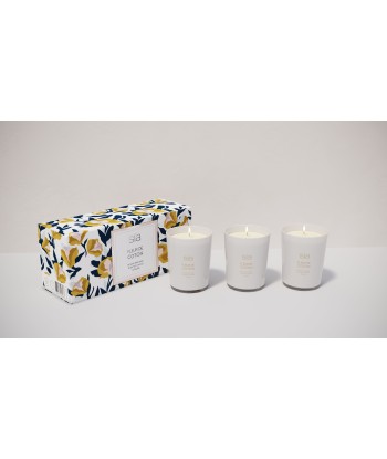 Lot de 3 bougies parfumées - Fleur de coton de pas cher