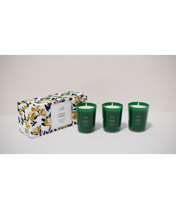 Lot de 3 bougies parfumées - Midnight garden sur le site 