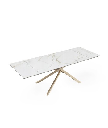 Table extensible Ginko Céramique et verre trempé pieds dorés 160x90x76cm Les magasins à Paris