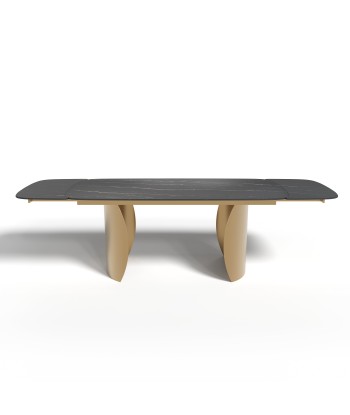 Table extensible Camélia Céramique et verre trempé pieds dorés 160x90x76cm Amélioration de cerveau avec